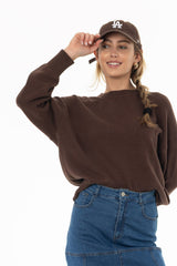 Brown Basic Knit Sweater