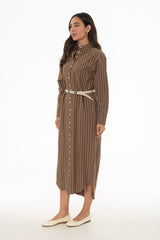 Brown Printed Shirt Maxi Dress