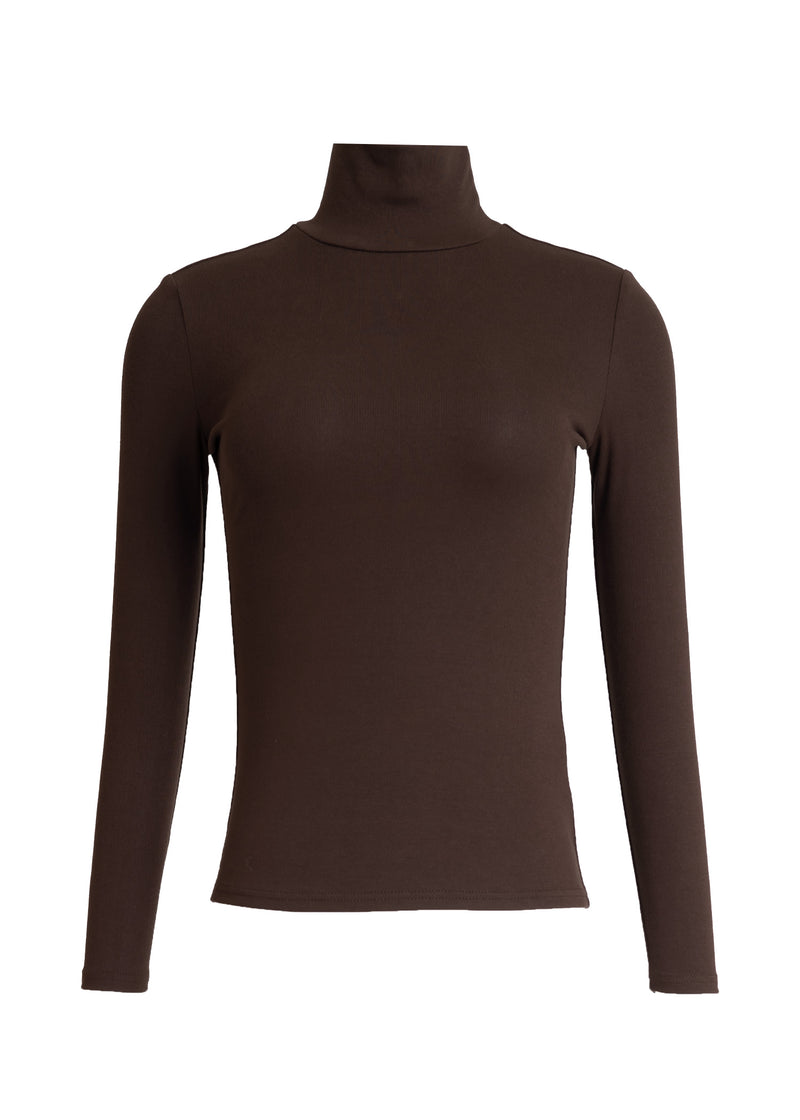 Brown Solid Turtleneck