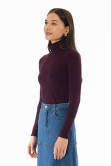 Burgundy Solid Turtleneck Top