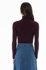 Burgundy Solid Turtleneck Top