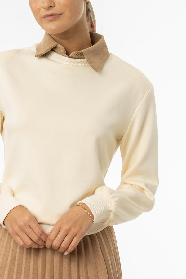 Cream & Tan Corduroy Collar Sweater