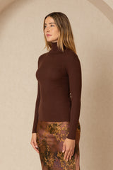 Brown Solid Turtleneck